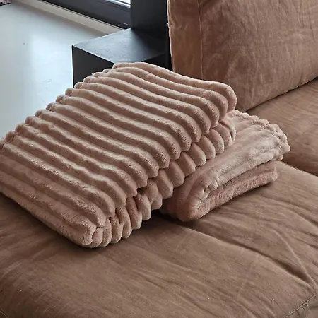 公寓 The Pink Penthouse 德帕内